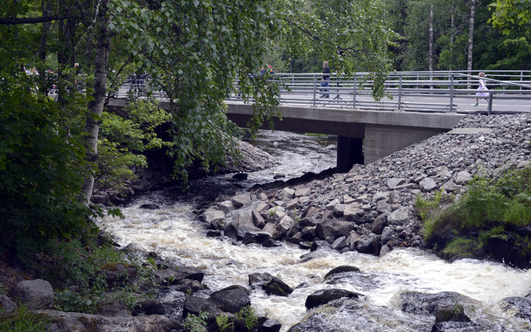 Teurojoen Myllykosken uuden sillan avajaiset 8.6.2024