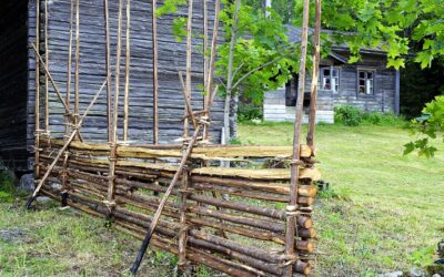 Päheet museot viikolle Maakunnallinen kotiseututeko palkinto-Hämeenkoski vahvasti mukana